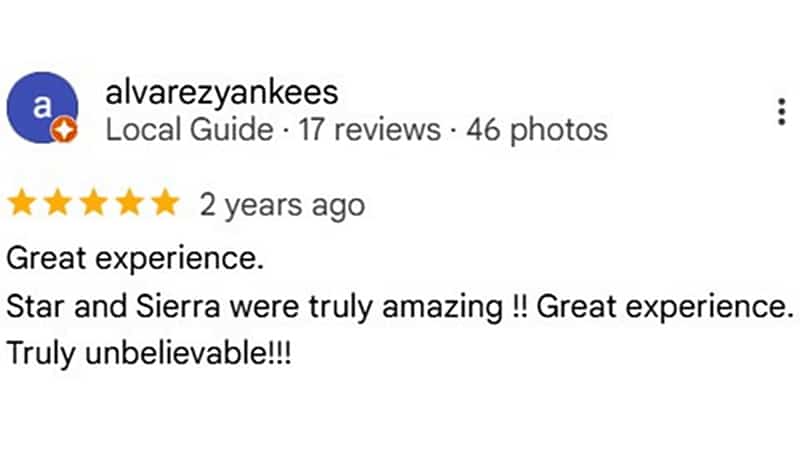 Google client review